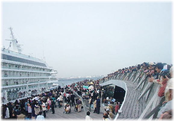 ワールドＣ見送り