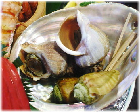 土佐料理 祢保希10