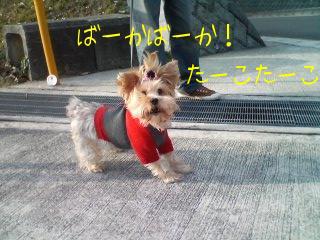 豹変！