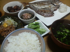 2009050811530000.jpg