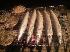 2009050619150000.jpg