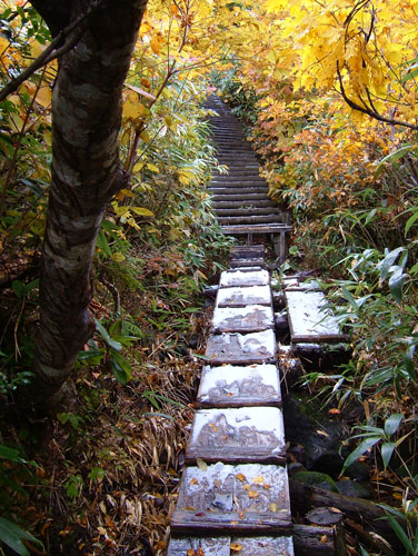 木の階段