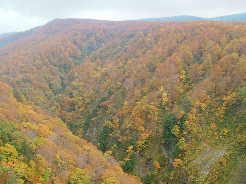 城ヶ倉大橋から