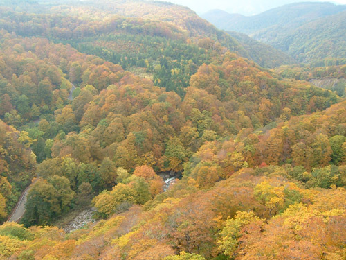 城ヶ倉大橋から