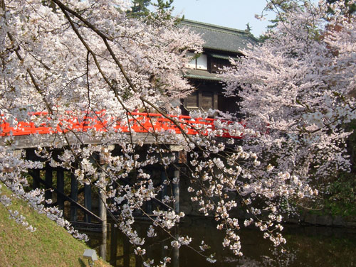 桜と橋と門