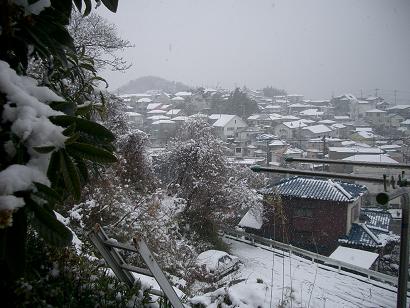 yuki