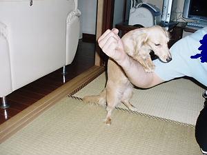 動かないでよ！