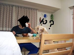 くうパート6 087.jpg