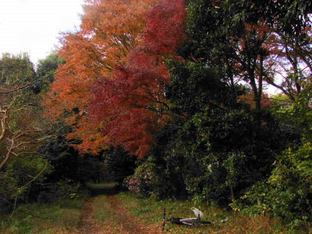 DSC00355.JPG