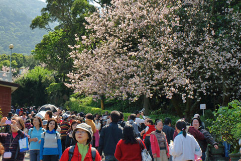 100311_淡水天元宮
