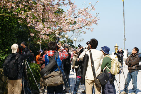100311_淡水天元宮