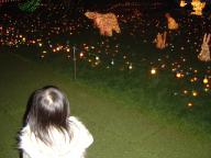 イルミネーション2