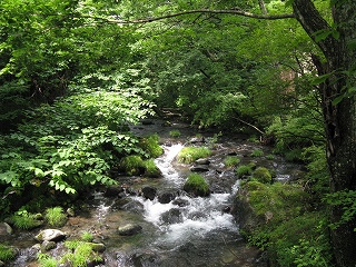 小阿寺清流