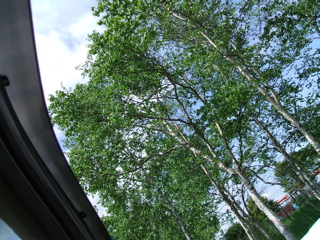 DSCF0073.jpg