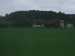fuu0104.jpg