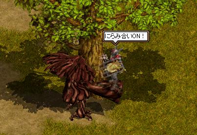 にらみあい.JPG