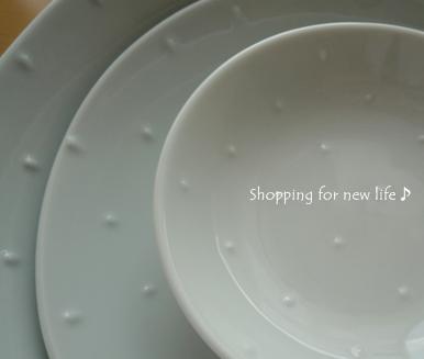 白山陶器シェルシリーズアップ