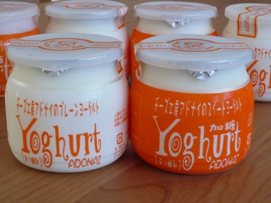 チーズ工房アドナイの自家用ヨーグルト