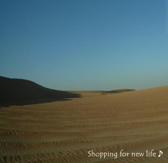 ドバイ砂漠ｻﾌｧﾘ砂漠