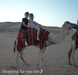 ドバイ砂漠ｻﾌｧﾘらくだ