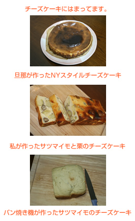 チーズケーキに夢中