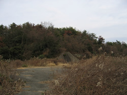 玄関へ続く道？