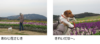 あわじ花さじき