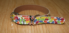 ビーンズの首輪