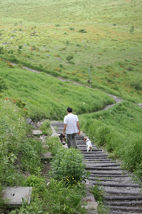 つるつる道を降りる