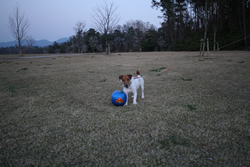 三木総合防災公園