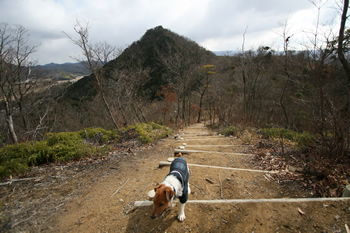 有馬富士