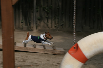 ベストショット？