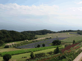 あわじ花さじき