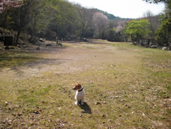 ゴルフ場跡地