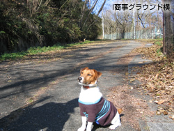 I商事グラウンド横