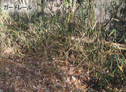 年代物ガードレール