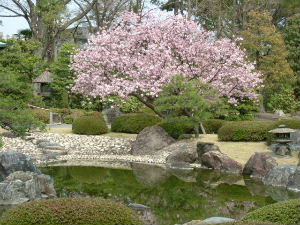 20080405_5