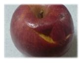 りんご.jpg
