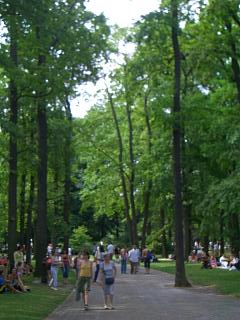 CIMG0073.JPG