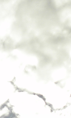 080814_1625~04.jpg