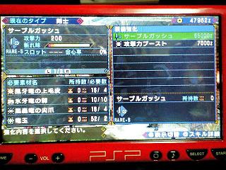 サーブルガッシュ