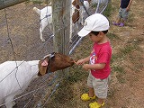 P1030721.jpg