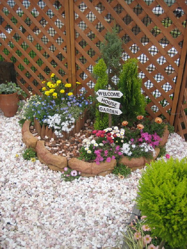 20080417_0871.jpg