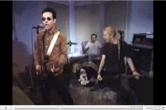 Mr. T Experience - I Fell for You.jpg