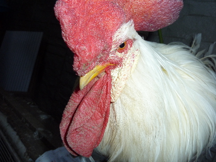 P1000016.JPG