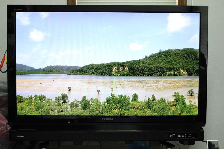 TOSHIBA LED REGZA Z2 42Z2 - テレビ