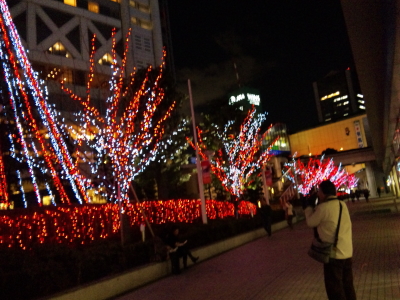 20101225-20.jpg