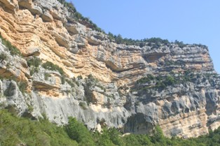 IMG_2345.JPG