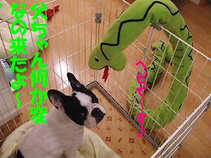 DSCF0632.JPG