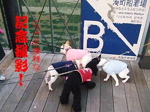 画像 334.jpg